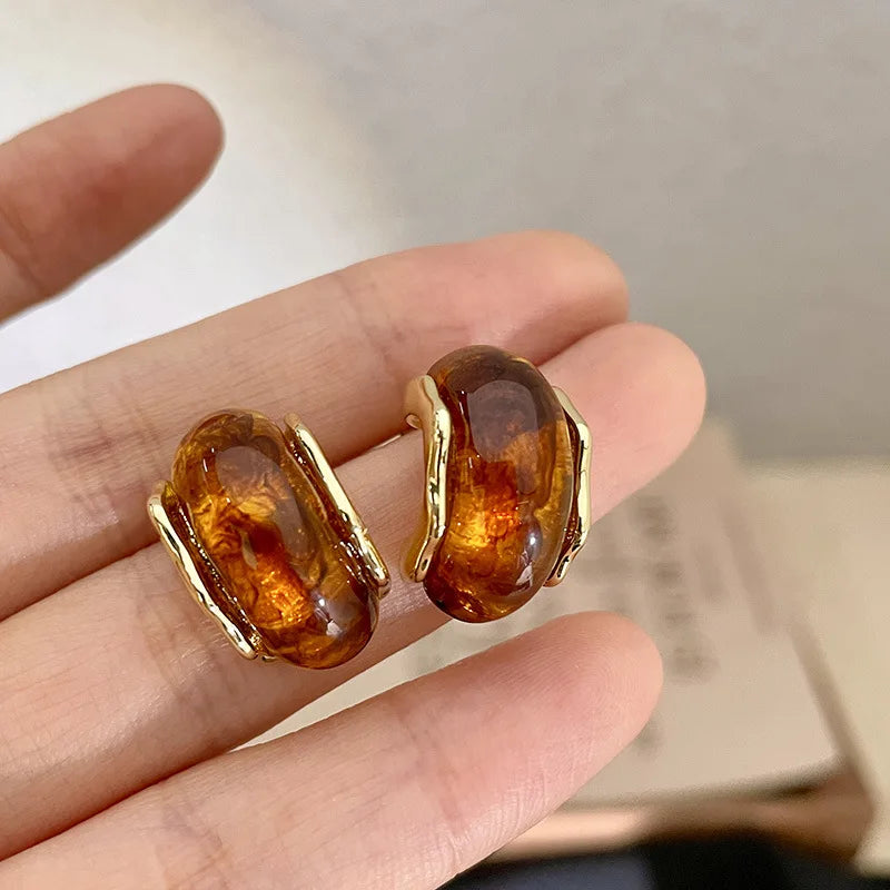 Vintage Fall & Winter Brown Drop and Stud Earrings