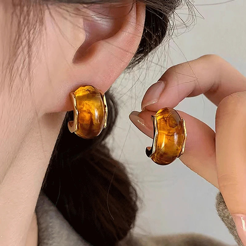 Vintage Fall & Winter Brown Drop and Stud Earrings
