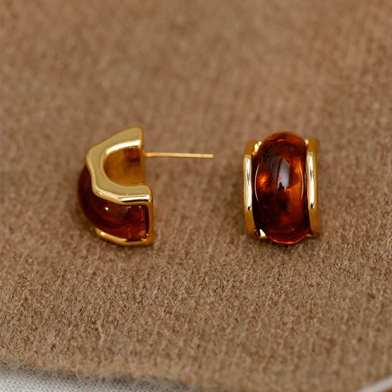 Vintage Fall & Winter Brown Drop and Stud Earrings